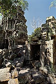 Ta Prohm temple